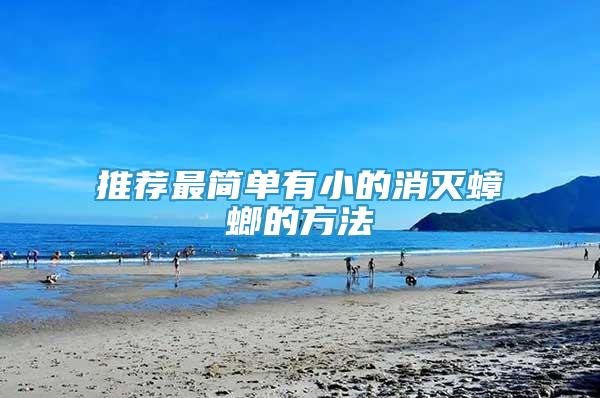 推薦最簡(jiǎn)單有小的消滅蟑螂的方法