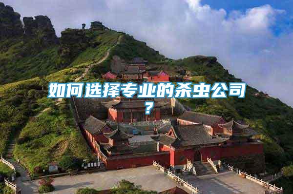 如何選擇專業(yè)的殺蟲公司？