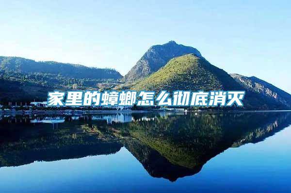家里的蟑螂怎么徹底消滅