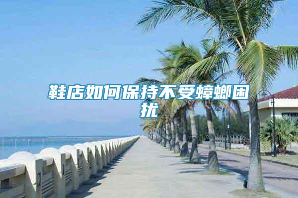 鞋店如何保持不受蟑螂困擾
