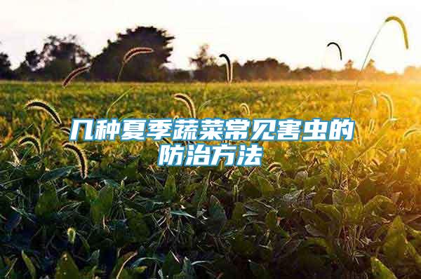 幾種夏季蔬菜常見(jiàn)害蟲(chóng)的防治方法