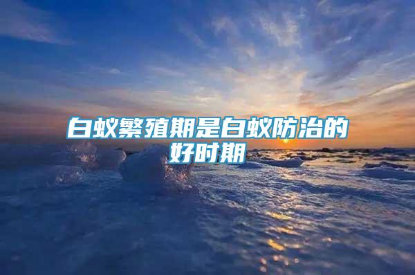 白蟻繁殖期是白蟻防治的好時(shí)期