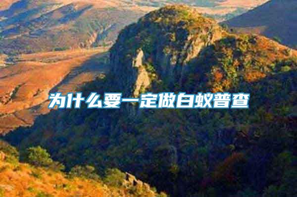 為什么要一定做白蟻普查