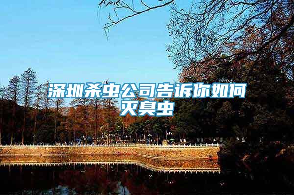 深圳殺蟲公司告訴你如何滅臭蟲