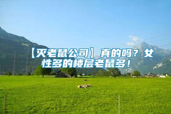 【滅老鼠公司】真的嗎？女性多的樓層老鼠多！