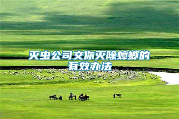 滅蟲公司交你滅除蟑螂的有效辦法