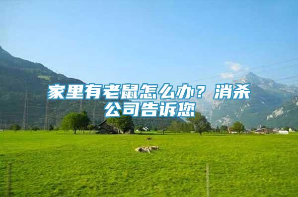 家里有老鼠怎么辦？消殺公司告訴您