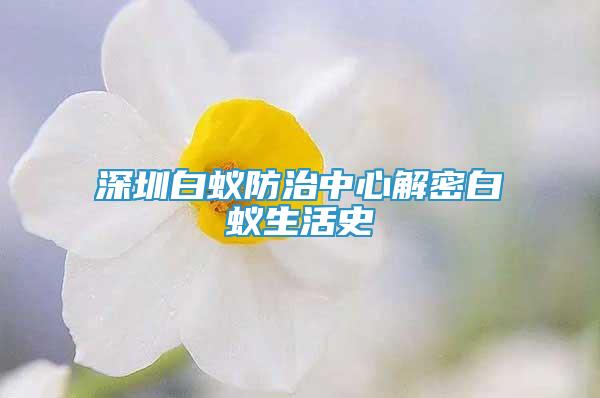 深圳白蟻防治中心解密白蟻生活史