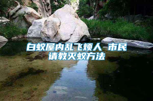 白蟻屋內(nèi)亂飛煩人 市民請教滅蟻方法