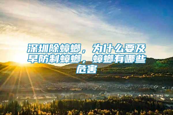 深圳除蟑螂，為什么要及早防制蟑螂，蟑螂有哪些危害