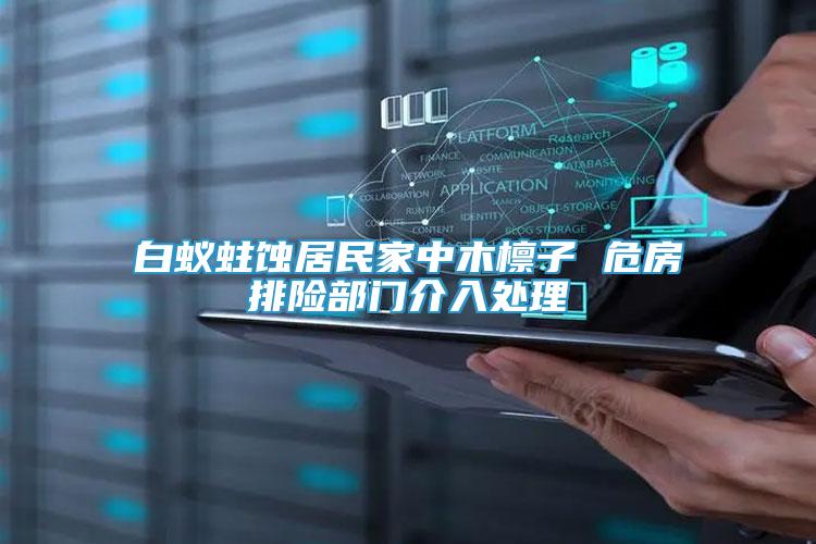 白蟻蛀蝕居民家中木檁子 危房排險(xiǎn)部門介入處理