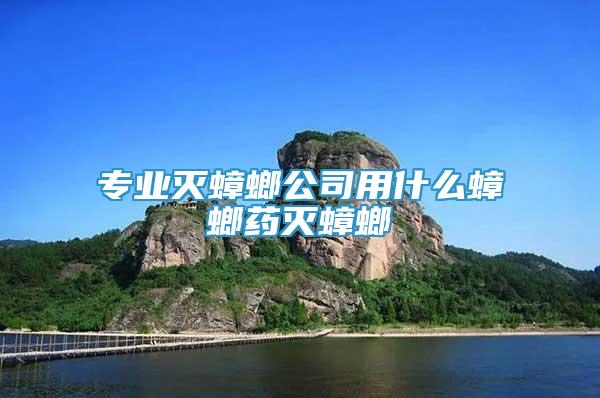 專業(yè)滅蟑螂公司用什么蟑螂藥滅蟑螂