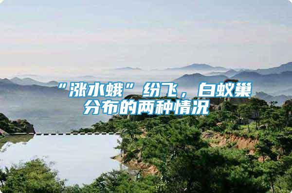 “漲水蛾”紛飛，白蟻巢分布的兩種情況