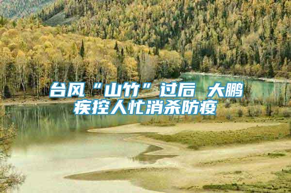 臺(tái)風(fēng)“山竹”過后 大鵬疾控人忙消殺防疫