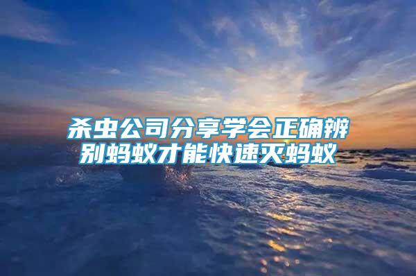 殺蟲公司分享學(xué)會(huì)正確辨別螞蟻才能快速滅螞蟻