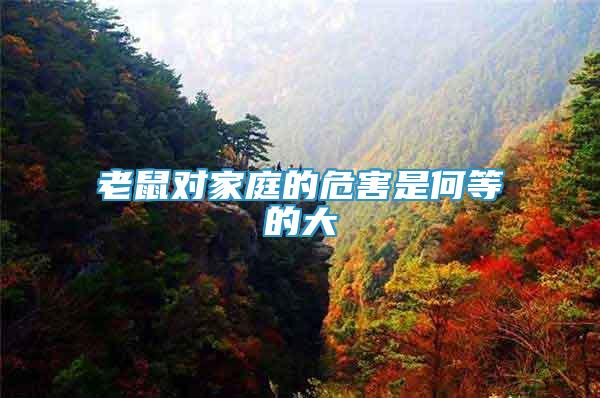 老鼠對(duì)家庭的危害是何等的大