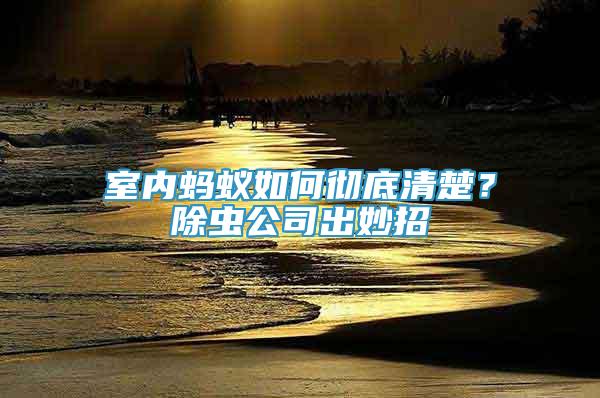 室內(nèi)螞蟻如何徹底清楚？除蟲公司出妙招