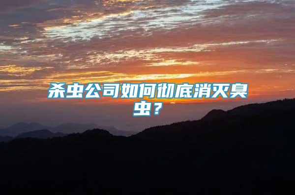 殺蟲公司如何徹底消滅臭蟲？