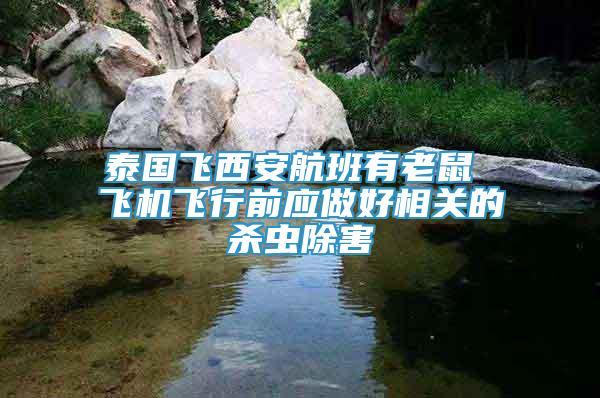 泰國飛西安航班有老鼠 飛機(jī)飛行前應(yīng)做好相關(guān)的殺蟲除害