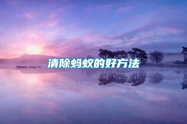 清除螞蟻的好方法