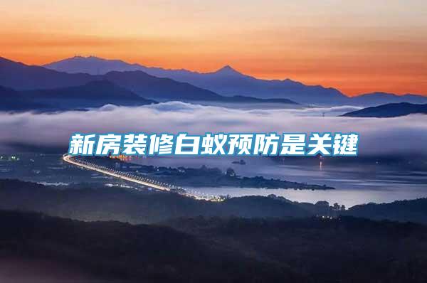 新房裝修白蟻預(yù)防是關(guān)鍵