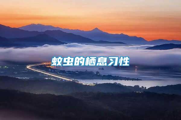蚊蟲的棲息習(xí)性