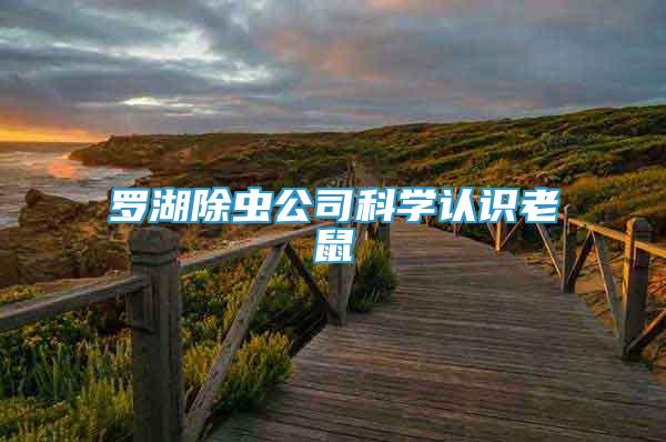 羅湖除蟲公司科學(xué)認(rèn)識(shí)老鼠