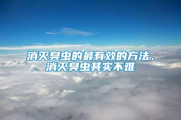 消滅臭蟲的最有效的方法，消滅臭蟲其實(shí)不難