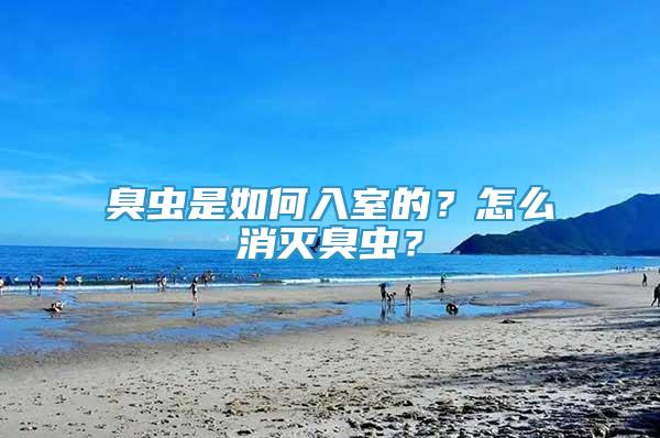 臭蟲是如何入室的？怎么消滅臭蟲？