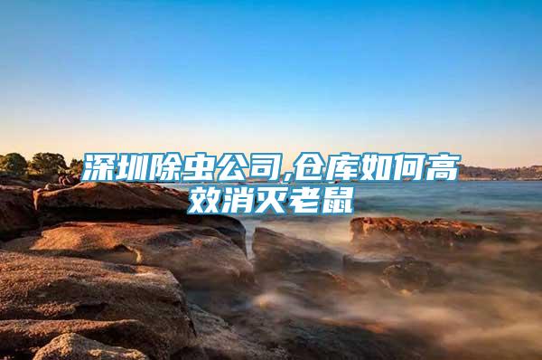 深圳除蟲(chóng)公司,倉(cāng)庫(kù)如何高效消滅老鼠