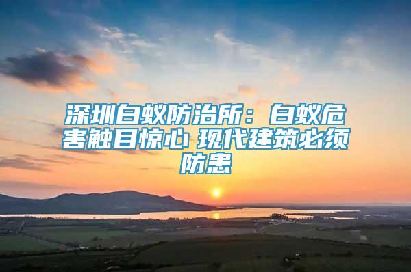 深圳白蟻防治所：白蟻危害觸目驚心　現(xiàn)代建筑必須防患