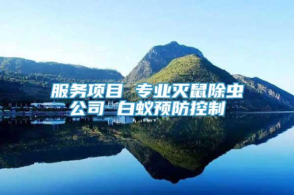 服務(wù)項(xiàng)目 專業(yè)滅鼠除蟲公司 白蟻預(yù)防控制