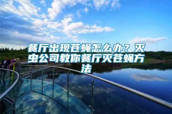 餐廳出現(xiàn)蒼蠅怎么辦？滅蟲公司教你餐廳滅蒼蠅方法
