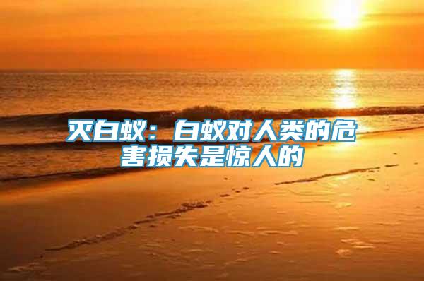 滅白蟻：白蟻對(duì)人類的危害損失是驚人的
