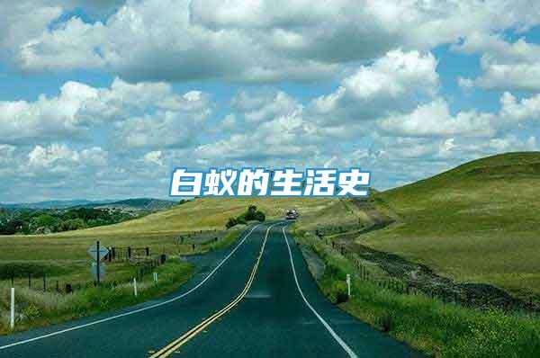 白蟻的生活史