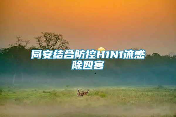 同安結(jié)合防控H1N1流感除四害