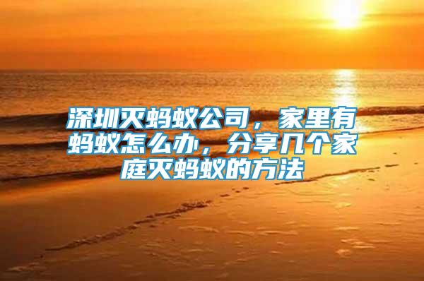 深圳滅螞蟻公司，家里有螞蟻怎么辦，分享幾個家庭滅螞蟻的方法