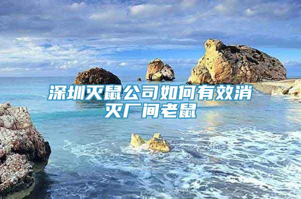 深圳滅鼠公司如何有效消滅廠間老鼠