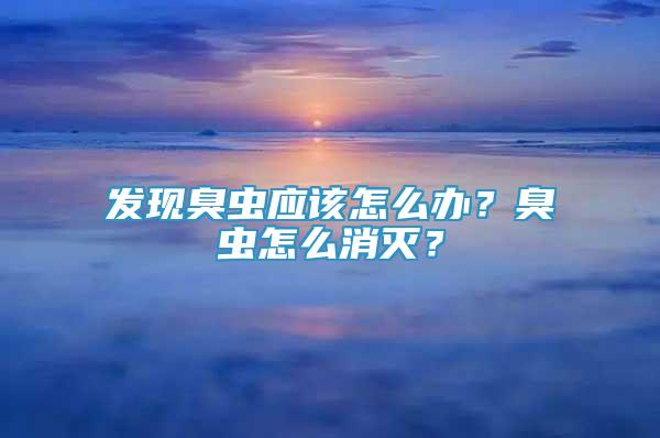 發(fā)現(xiàn)臭蟲應(yīng)該怎么辦？臭蟲怎么消滅？