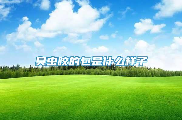 臭蟲咬的包是什么樣子