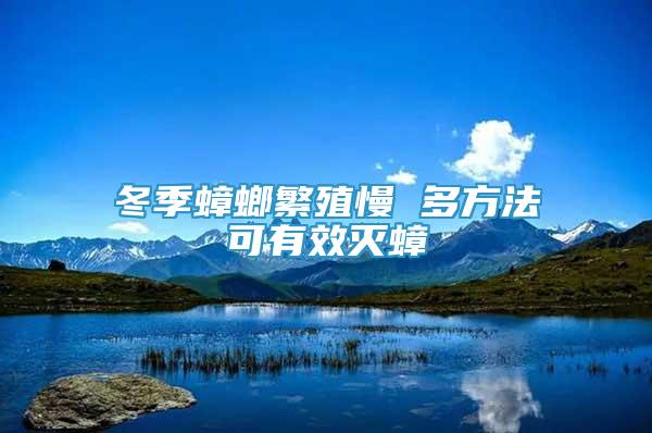 冬季蟑螂繁殖慢 多方法可有效滅蟑