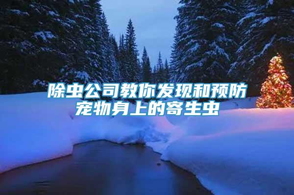 除蟲公司教你發(fā)現(xiàn)和預(yù)防寵物身上的寄生蟲