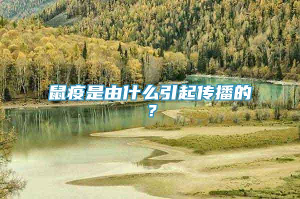 鼠疫是由什么引起傳播的？