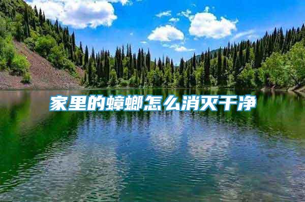 家里的蟑螂怎么消滅干凈