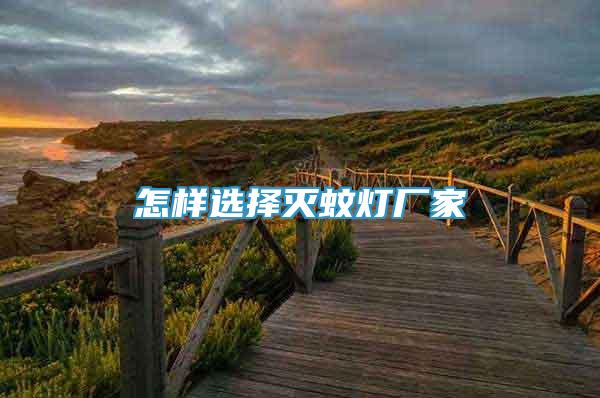 怎樣選擇滅蚊燈廠家
