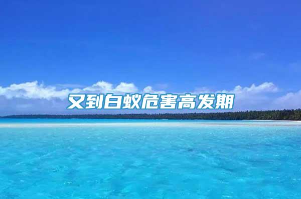 又到白蟻危害高發(fā)期