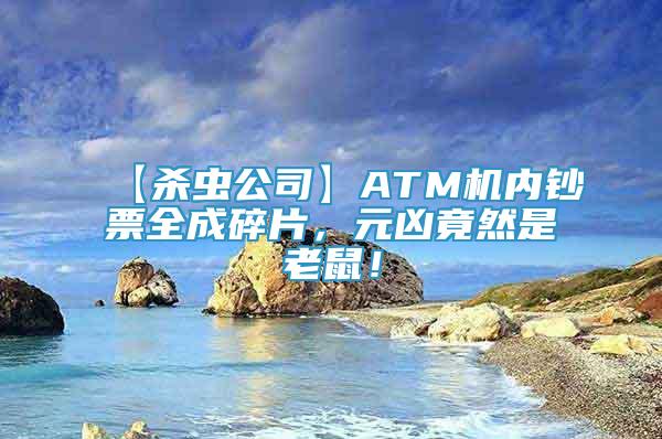 【殺蟲公司】ATM機(jī)內(nèi)鈔票全成碎片，元兇竟然是老鼠！