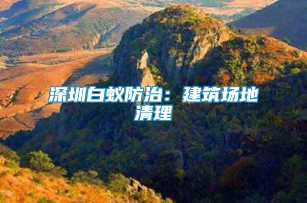 深圳白蟻防治：建筑場地清理