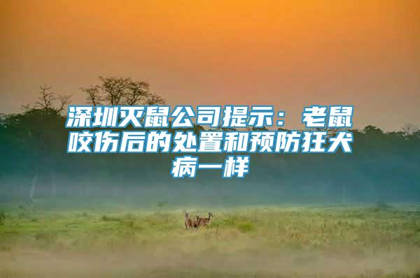 深圳滅鼠公司提示：老鼠咬傷后的處置和預(yù)防狂犬病一樣