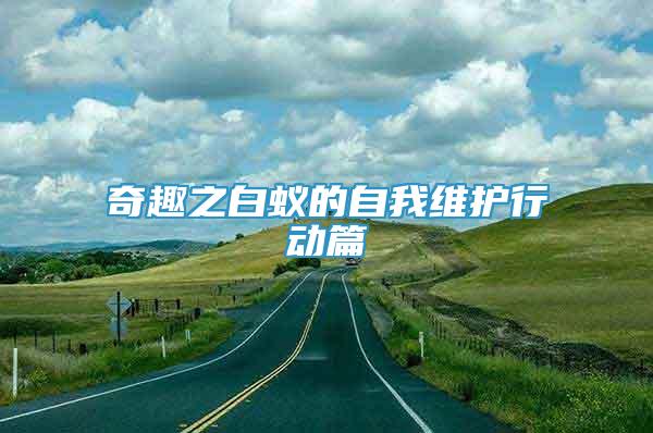 奇趣之白蟻的自我維護(hù)行動篇